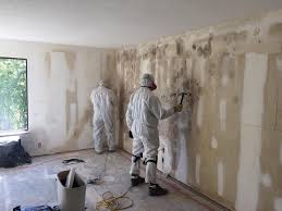 Why You Should Choose Our Mold Remediation Services in Escobares, TX